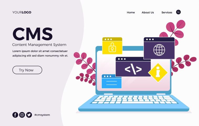 Types of CMS Platforms