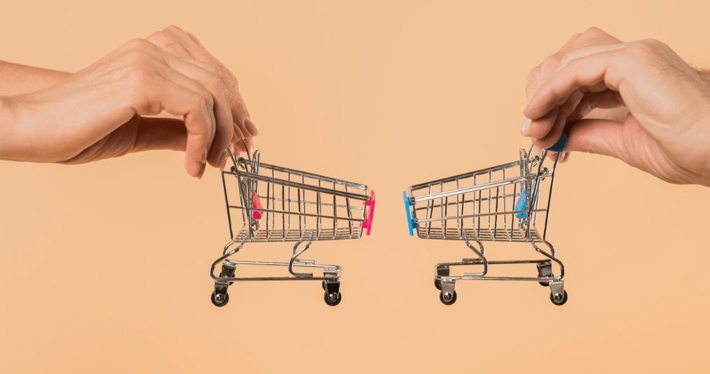Dropshipping vs ecommerce Which is better
