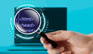 SEO and Content Marketing Complement
